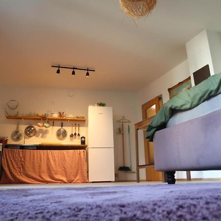 Cozy & Charming City Apartment Wiedeń Zewnętrze zdjęcie